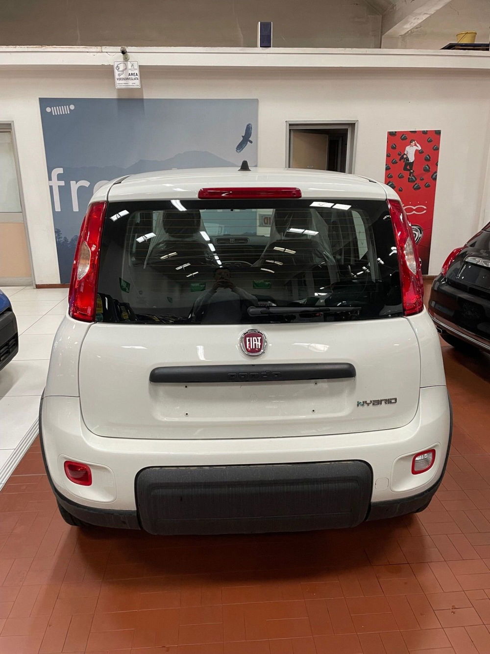 Fiat Panda Cross nuova a Lucca (5)