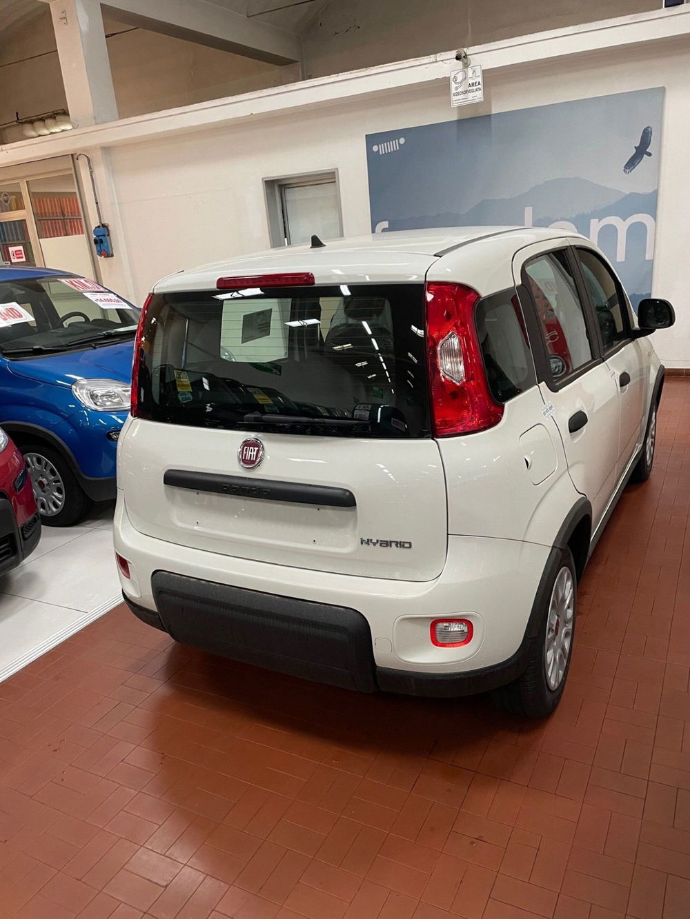 Fiat Panda Cross nuova a Lucca (6)