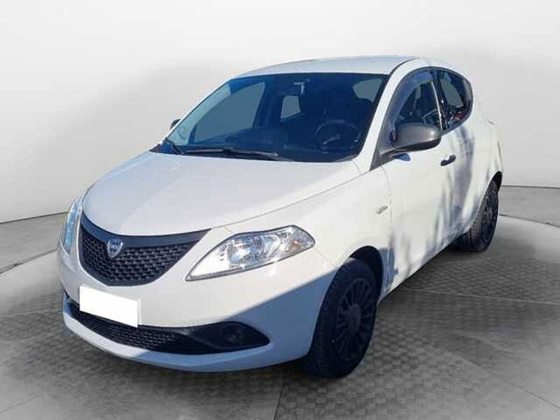 Lancia Ypsilon 1.2 69 CV 5 porte Elefantino  del 2019 usata a Siena