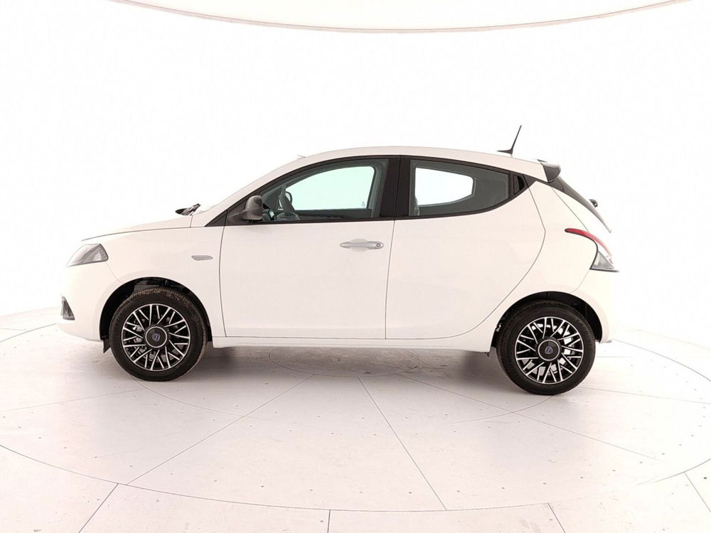 Lancia Ypsilon nuova a Caserta (8)