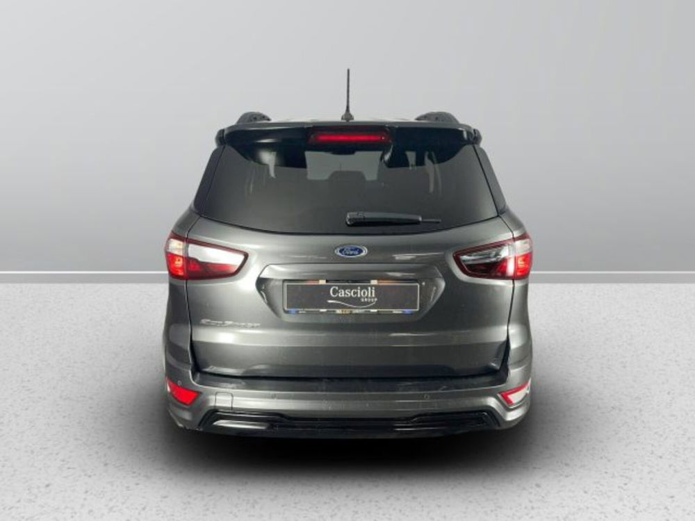 Ford EcoSport usata a Teramo (3)