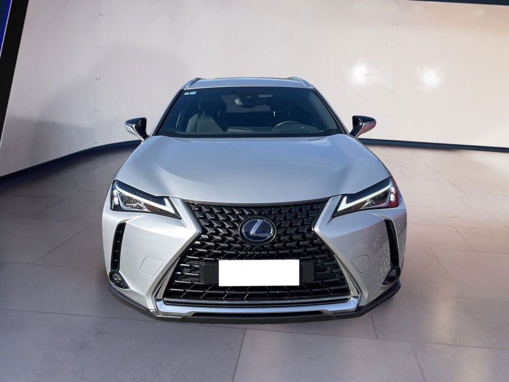 Lexus UX usata a Torino