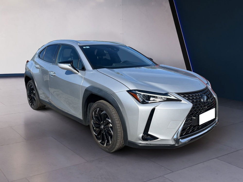 Lexus UX usata a Torino (2)