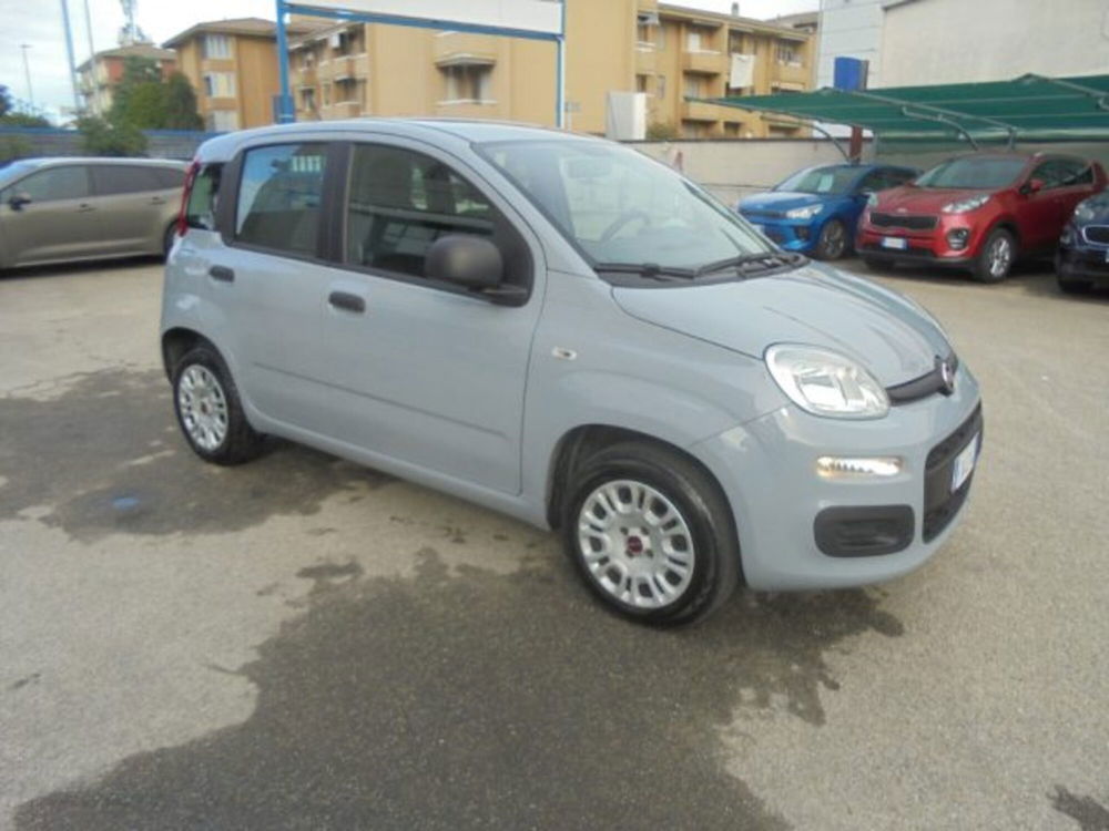 Fiat Panda usata a Novara (2)