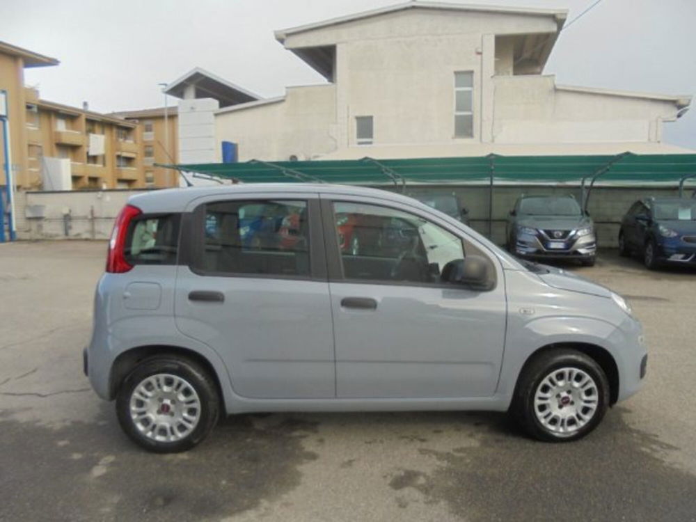 Fiat Panda usata a Novara (3)