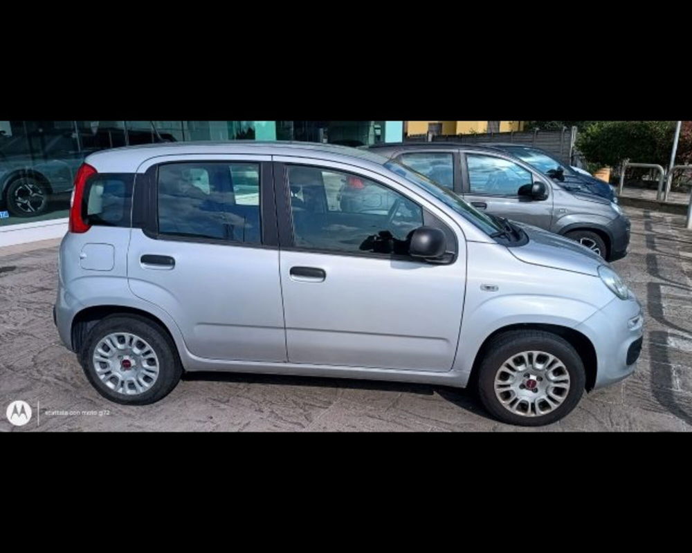 Fiat Panda usata a Bologna (7)