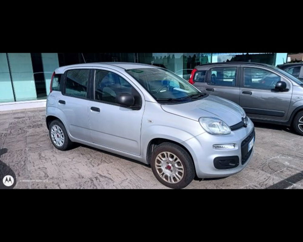 Fiat Panda usata a Bologna (8)