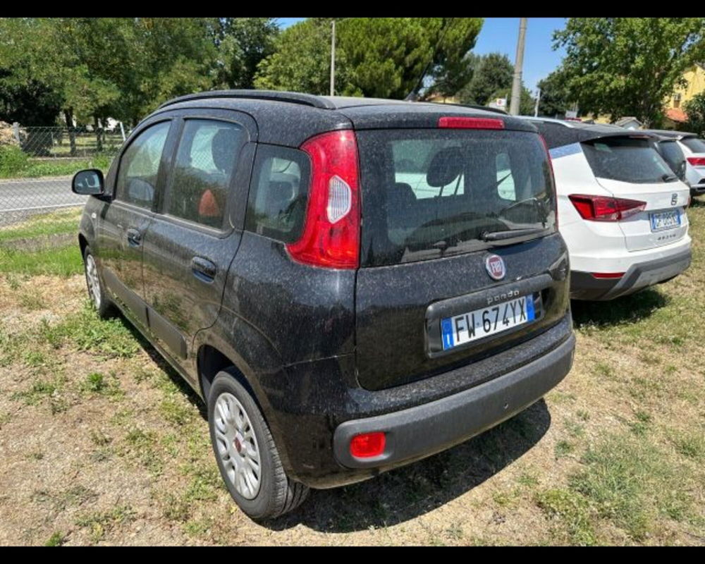 Fiat Panda usata a Bologna (2)