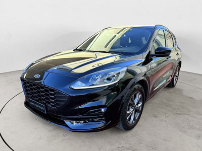 Ford Kuga 1.5 EcoBlue 120 CV 2WD ST-Line  del 2023 usata a Bari