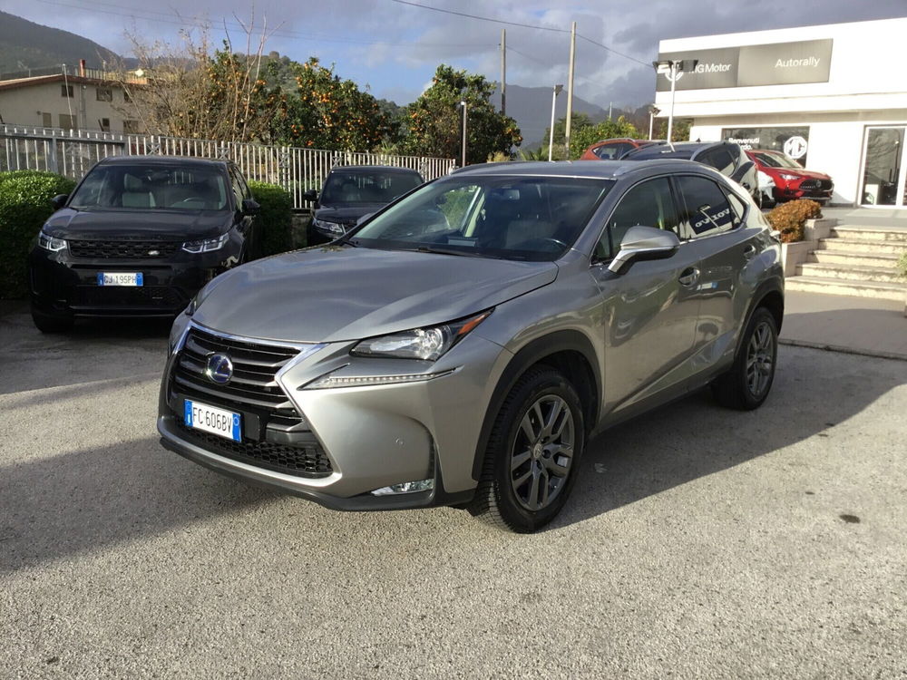 Lexus NX usata a Napoli (2)