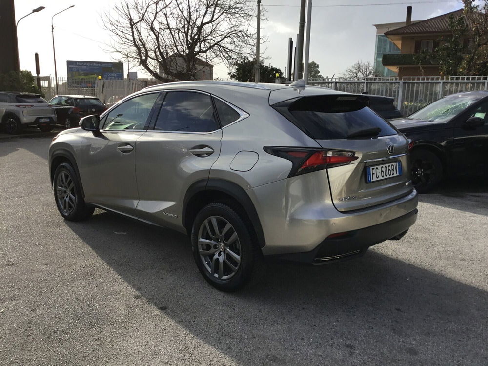 Lexus NX usata a Napoli (4)