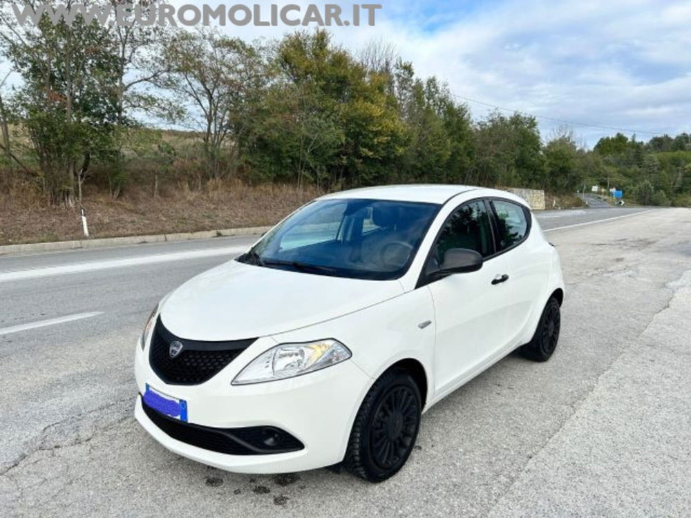 Lancia Ypsilon usata a Campobasso (2)