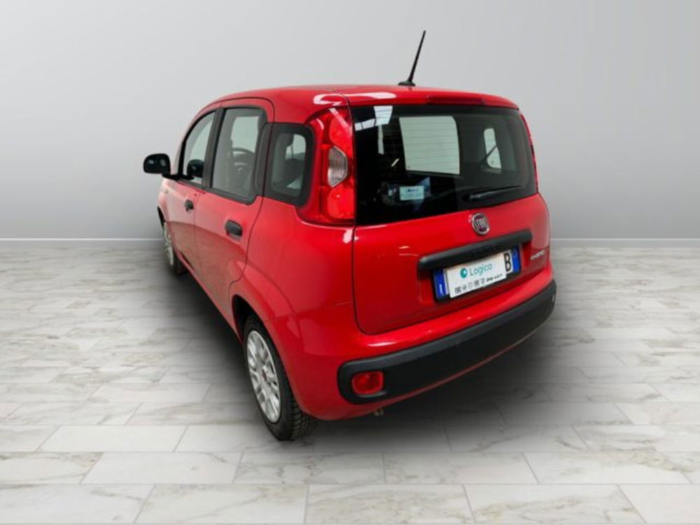 Fiat Panda usata a Biella (4)