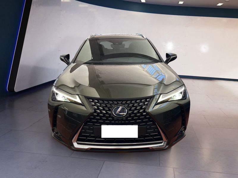 Lexus UX 300h 2.0 Urban 2wd cvt del 2020 usata a Torino