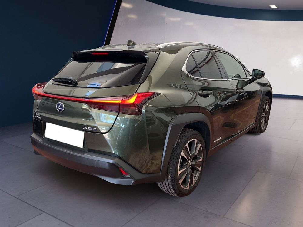 Lexus UX usata a Torino (5)