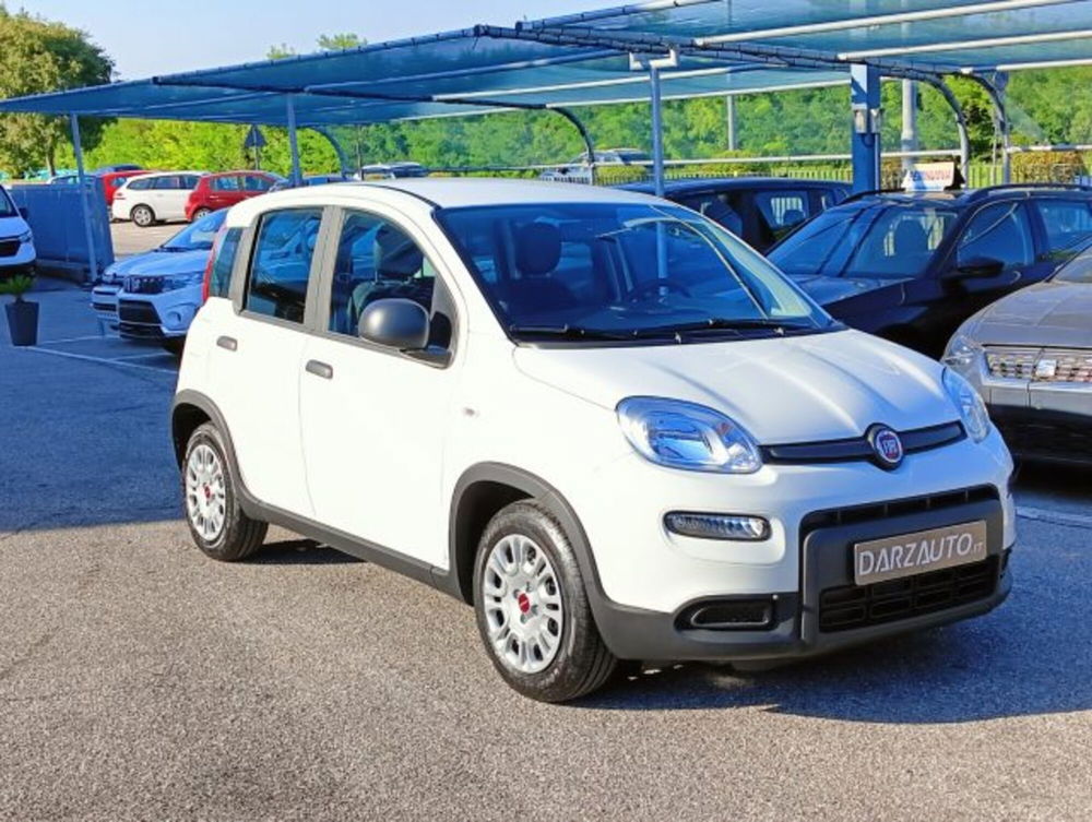 Fiat Panda nuova a Brescia (3)