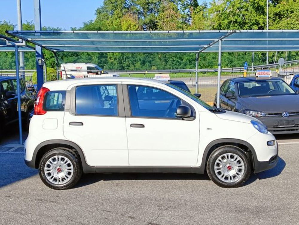 Fiat Panda nuova a Brescia (4)