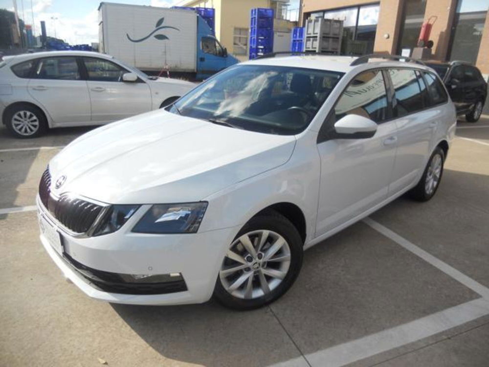 Skoda Octavia Station Wagon usata a Pisa