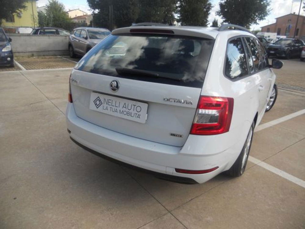 Skoda Octavia Station Wagon usata a Pisa (14)