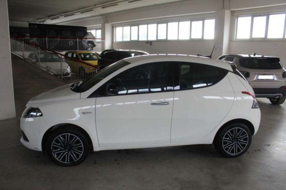 Lancia Ypsilon usata a Terni (3)