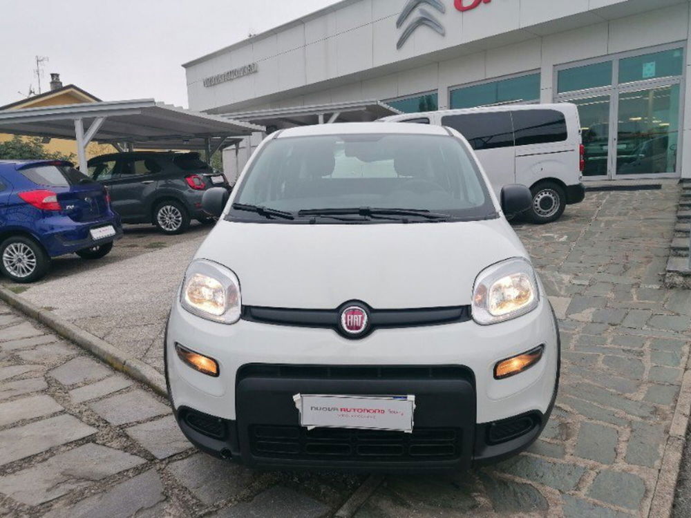 Fiat Panda Cross usata a Milano (2)