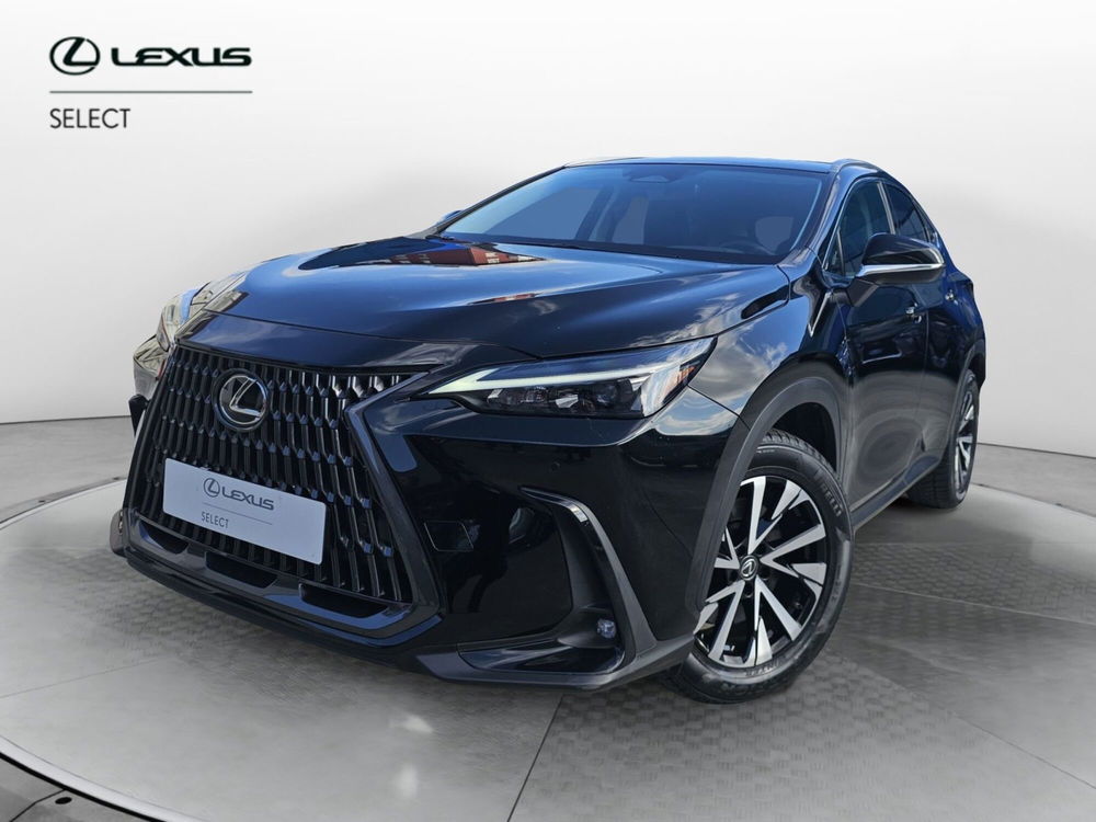 Lexus NX usata a Cremona