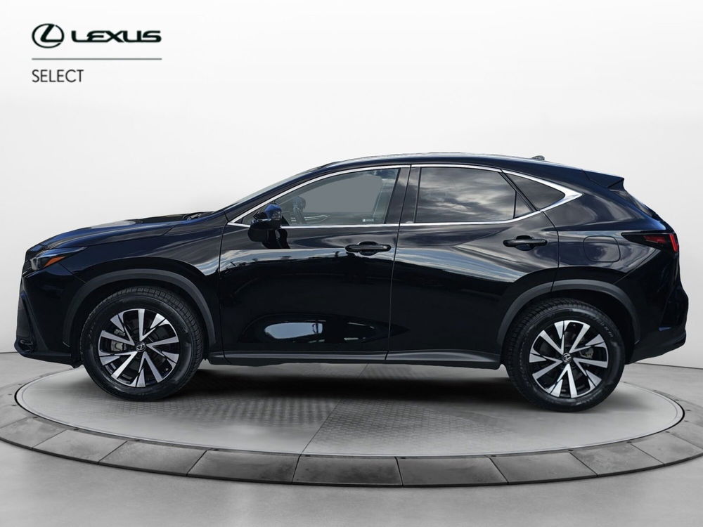 Lexus NX usata a Cremona (3)