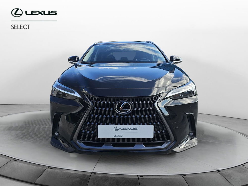 Lexus NX usata a Cremona (4)