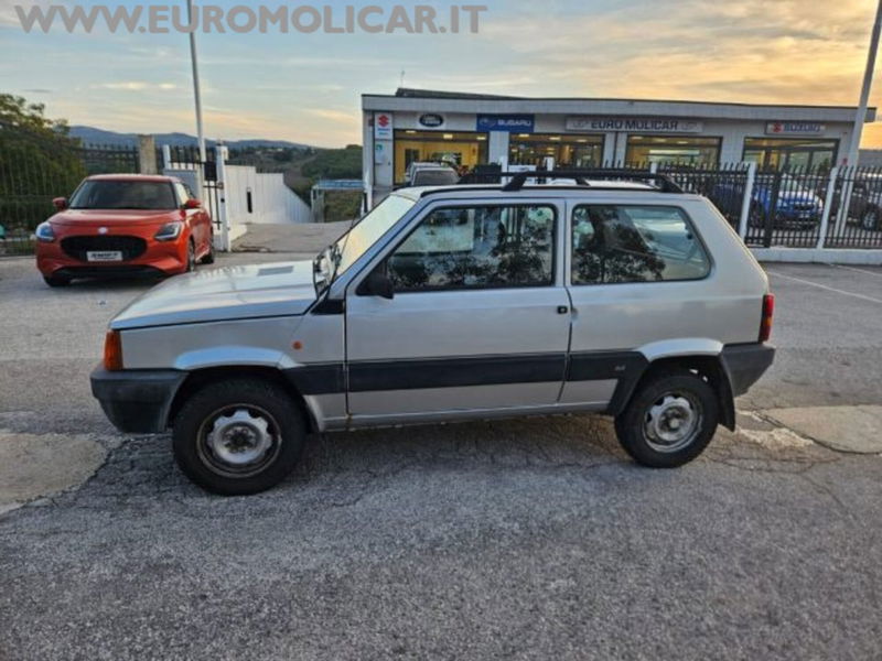 Fiat Panda 1100 i.e. cat 4x4 Trekking  del 2002 usata a Busso