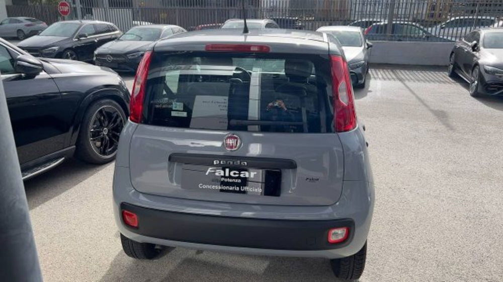 Fiat Panda usata a Potenza (18)