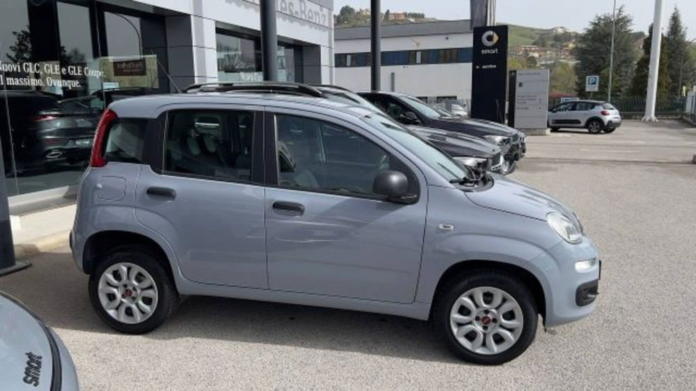 Fiat Panda usata a Potenza (4)