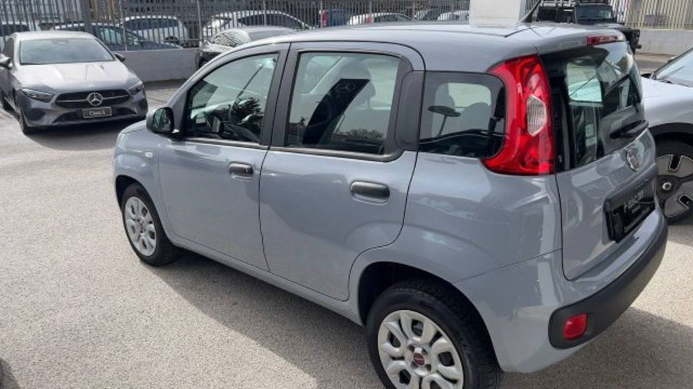 Fiat Panda usata a Potenza (5)