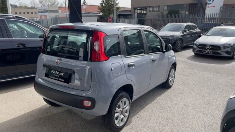 Fiat Panda usata a Potenza (6)