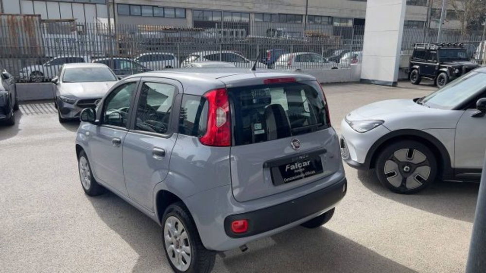 Fiat Panda usata a Potenza (7)