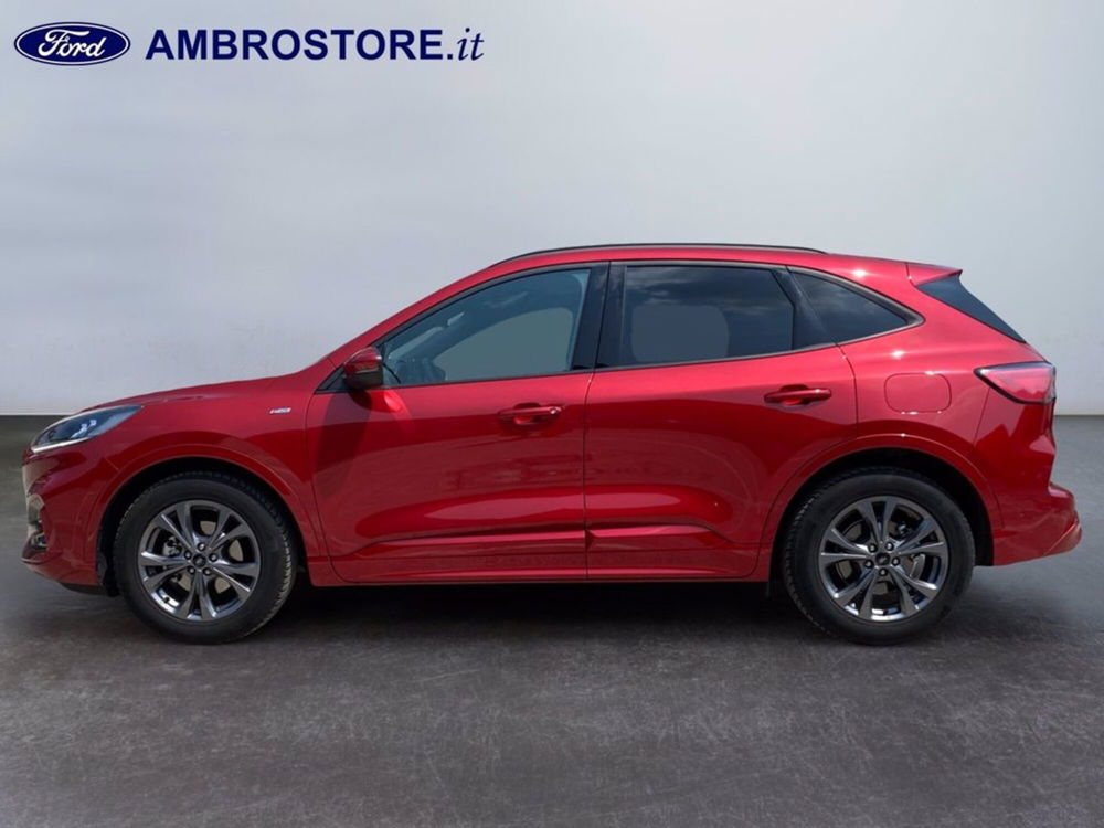 Ford Kuga usata a Milano (8)