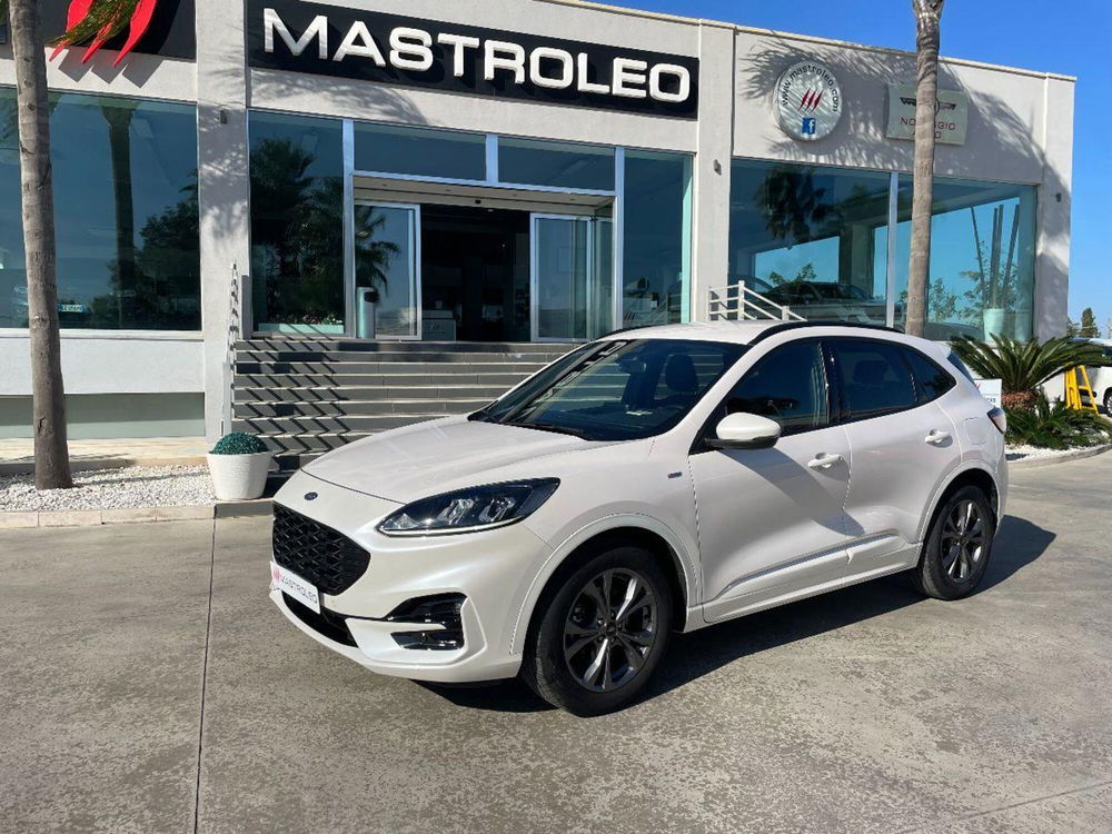 Ford Kuga usata a Lecce (2)