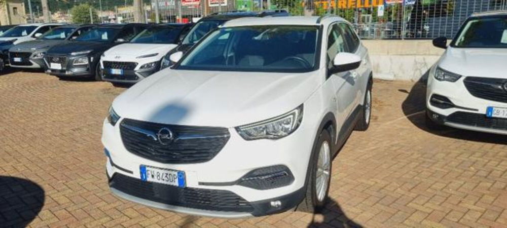 Opel Grandland X usata a Savona (2)