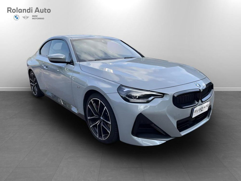 BMW Serie 2 Coupé usata a Alessandria (8)