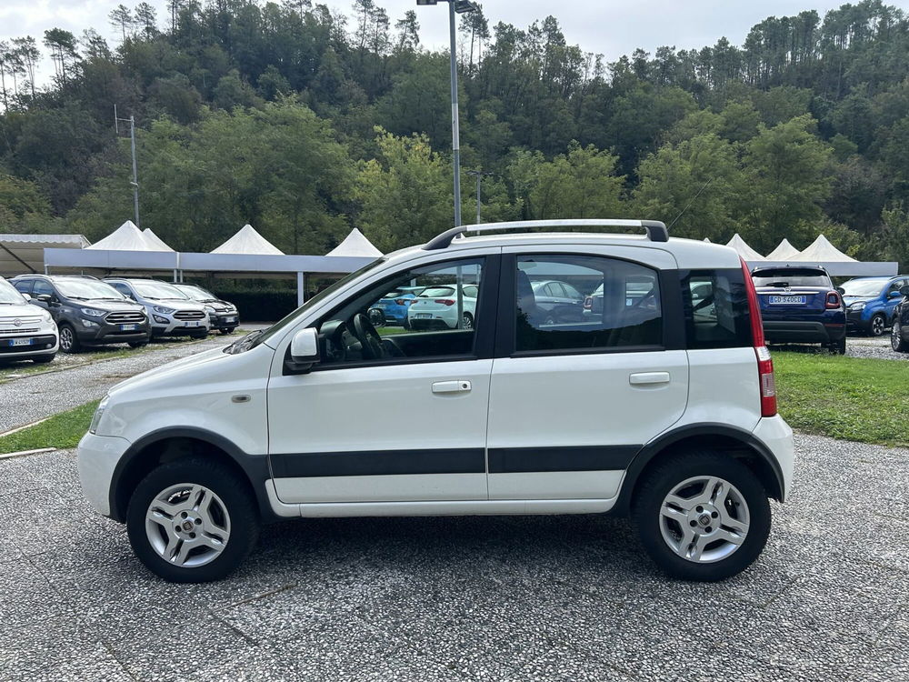 Fiat Panda usata a La Spezia (4)