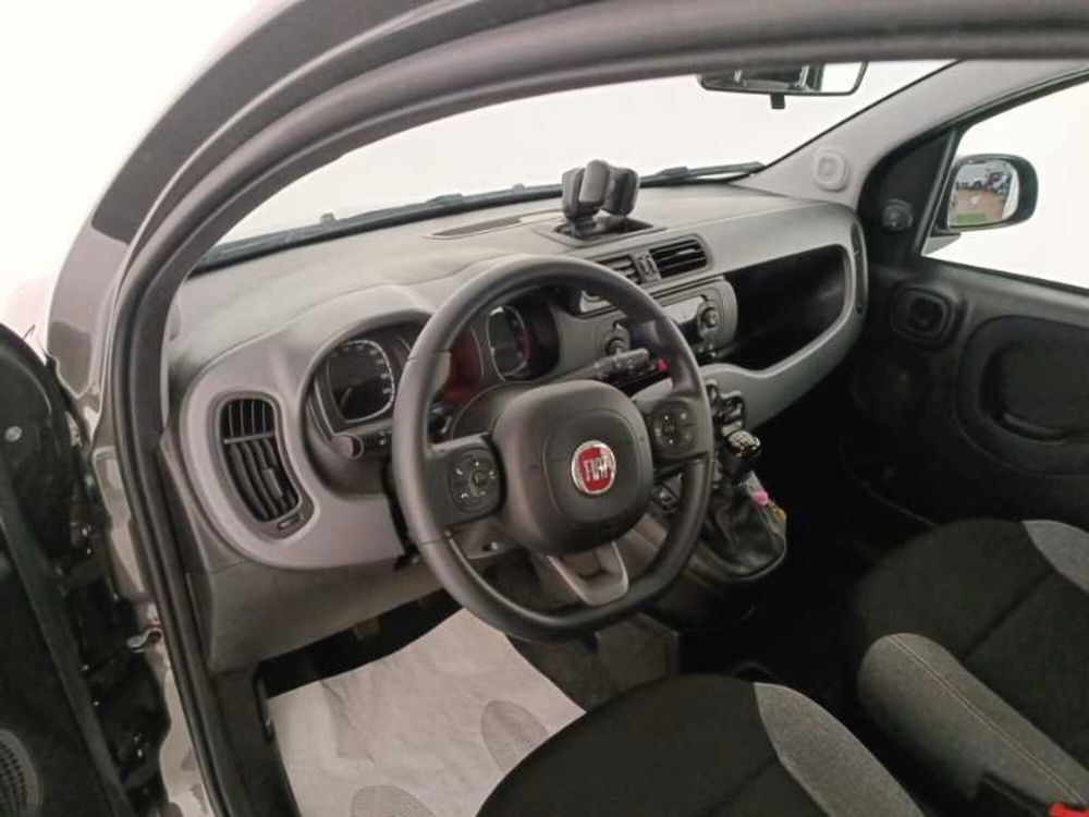 Fiat Panda usata a Treviso (10)