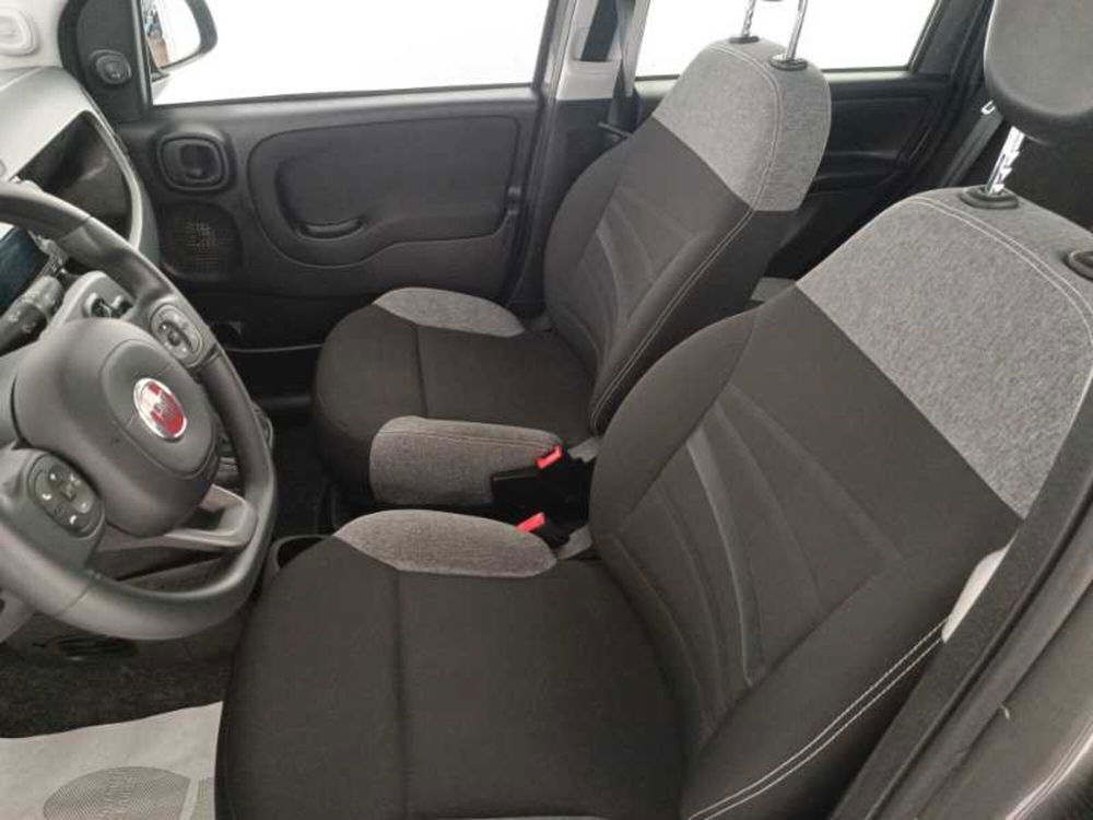 Fiat Panda usata a Treviso (11)