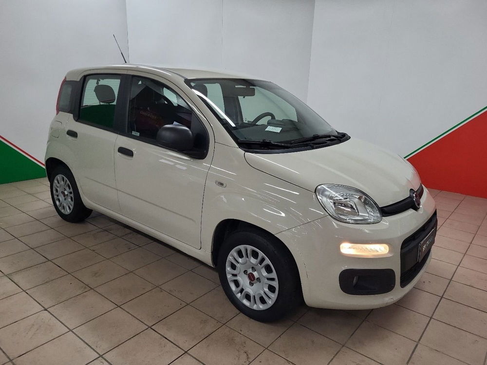 Fiat Panda usata a Arezzo (2)