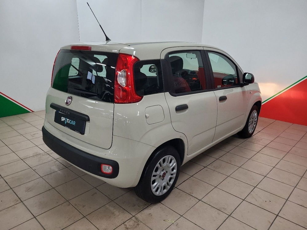 Fiat Panda usata a Arezzo (4)