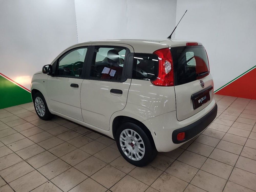 Fiat Panda usata a Arezzo (5)