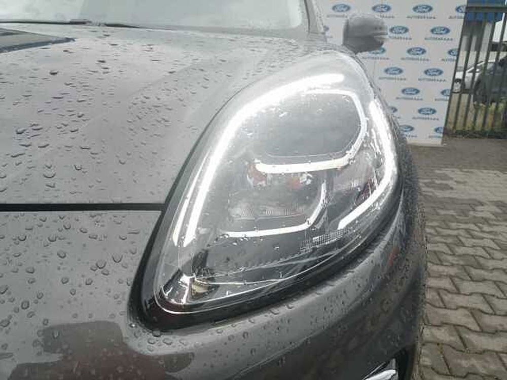 Ford Puma usata a Firenze (17)