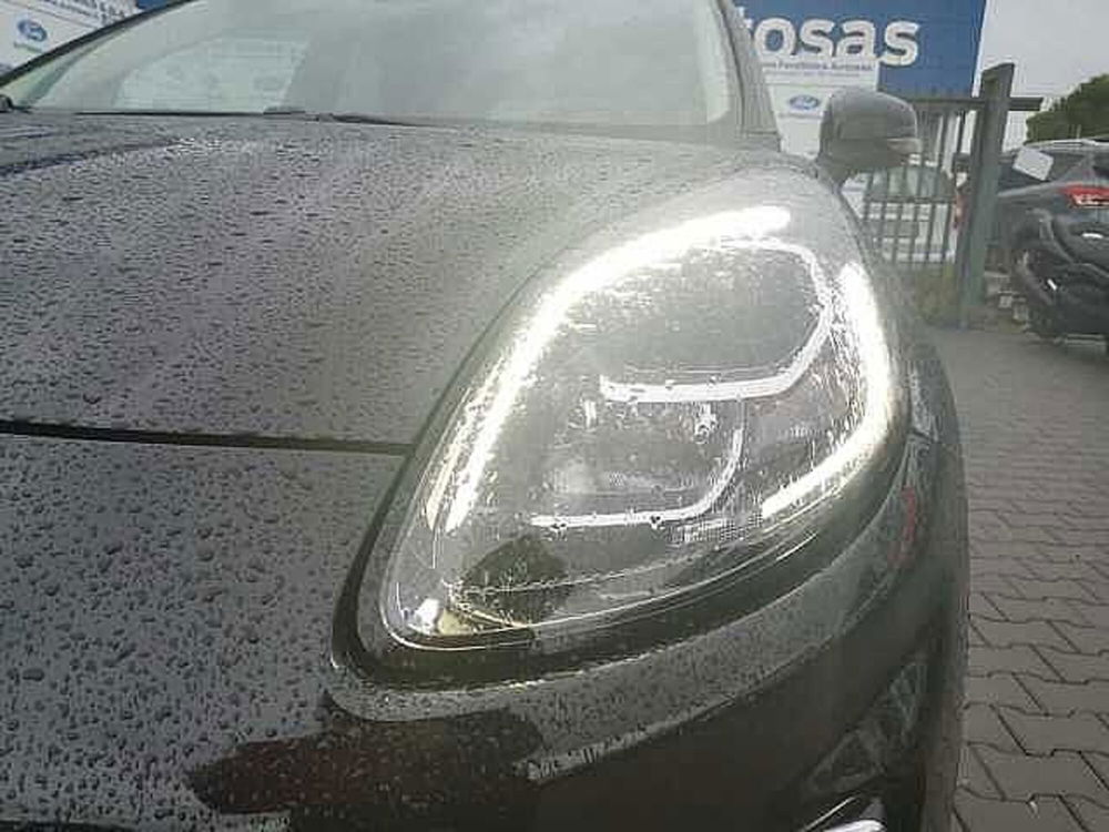 Ford Puma usata a Firenze (17)