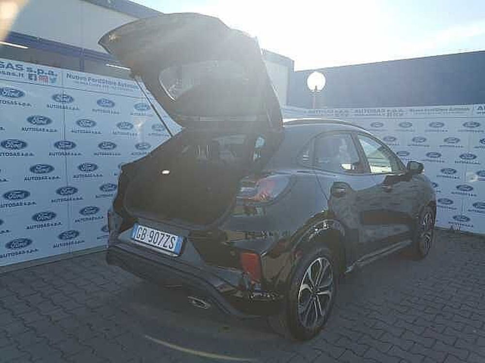 Ford Puma usata a Firenze (19)