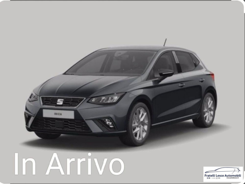 SEAT Ibiza usata a Cosenza