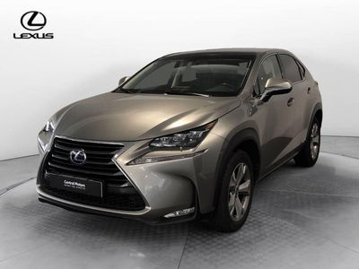 Lexus NX 350h 2.5 Business 2wd e-cvt del 2016 usata a Torino