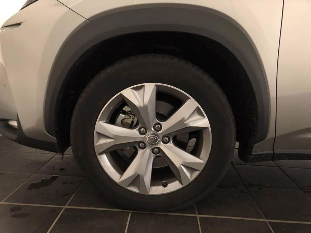 Lexus NX usata a Torino (14)